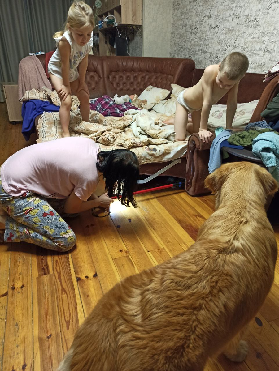 Ловим Маняху под диваном