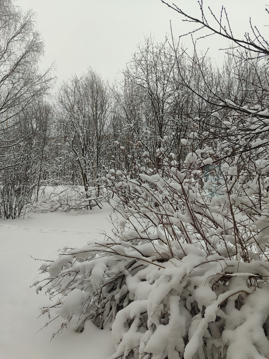 Такая у нас зима. Видно из одной из спален.