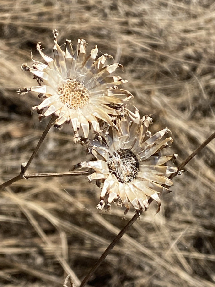 личное, просто так, не несёт никакого смысла