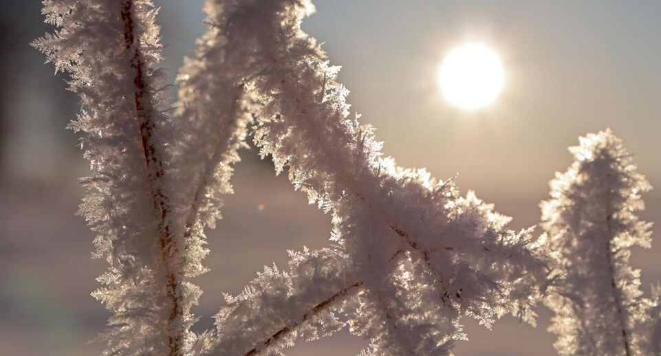    Matthias Bein/dpa / Global Look Press