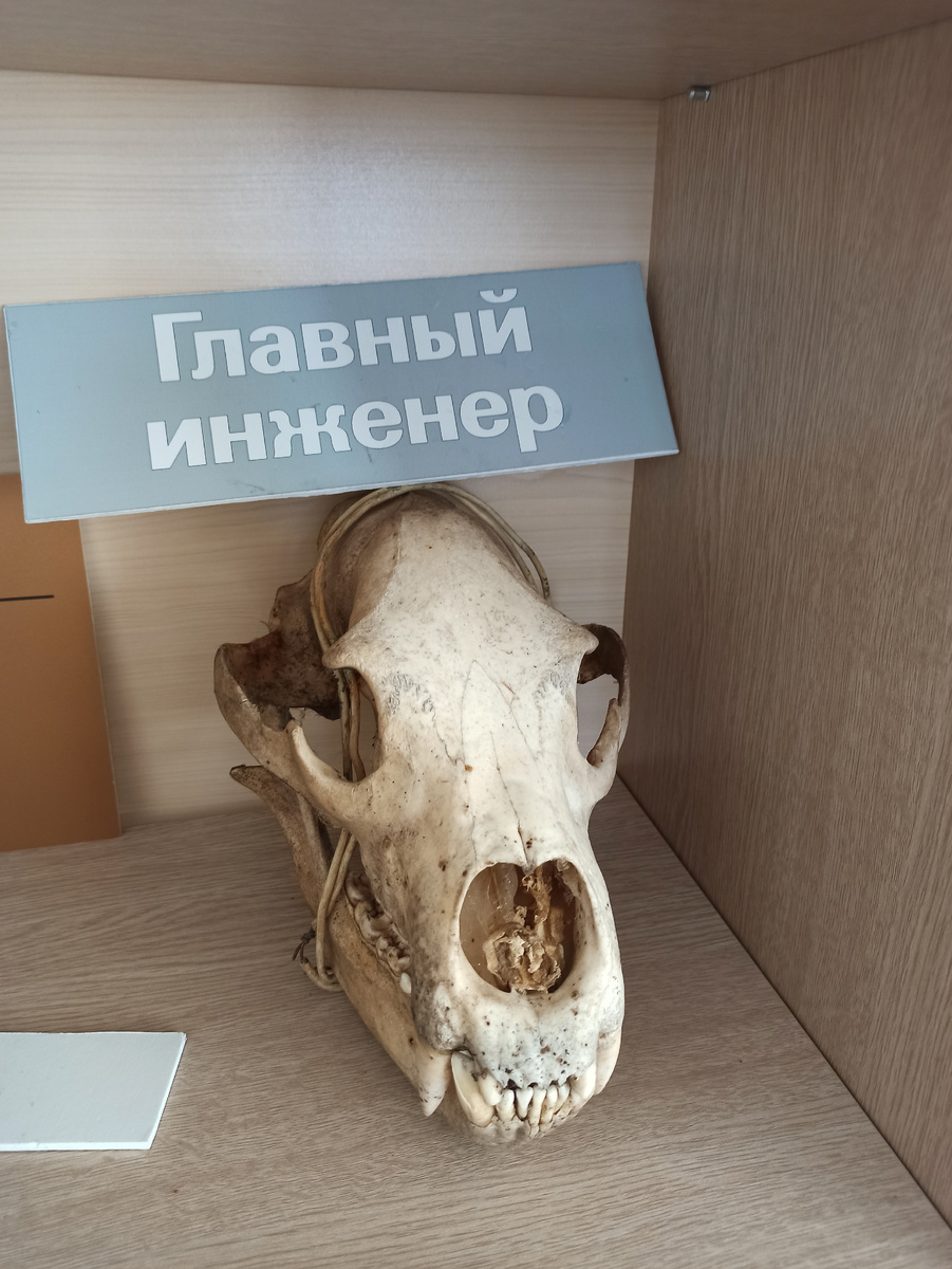 Работа главный инженер