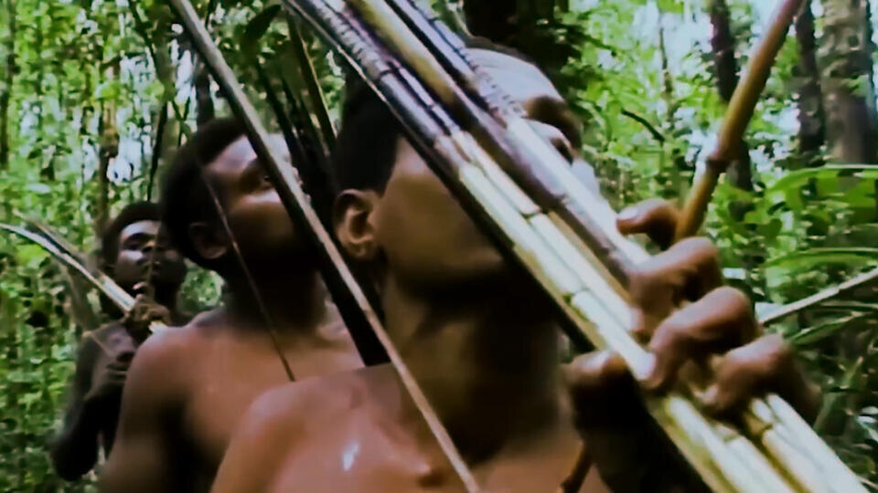 Фото: © Кадр из программы "Невероятно интересные истории", РЕН ТВ