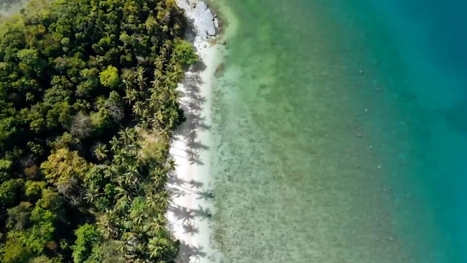 Фото: © Кадр из программы "Невероятно интересные истории", РЕН ТВ