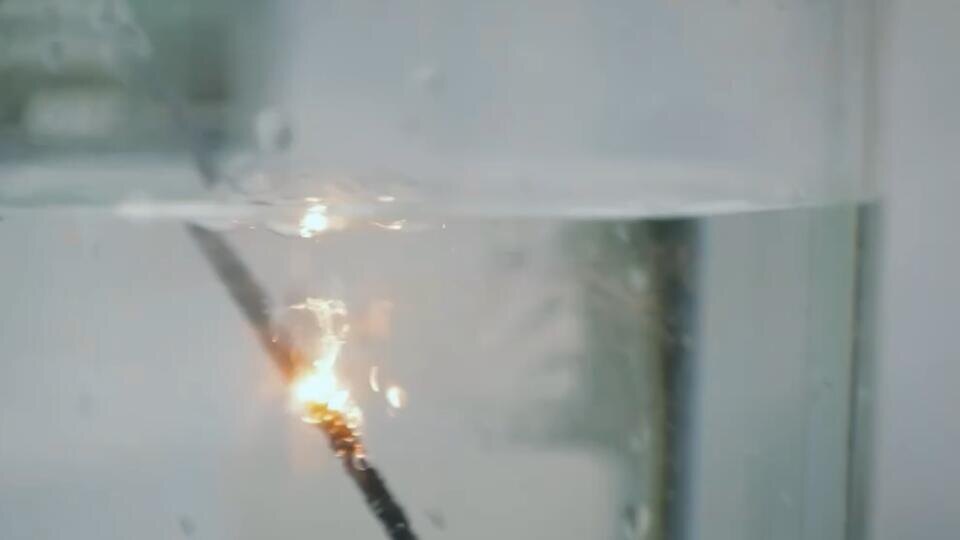 Фото: © Кадр из программы "Знаете ли вы, что?", РЕН ТВ