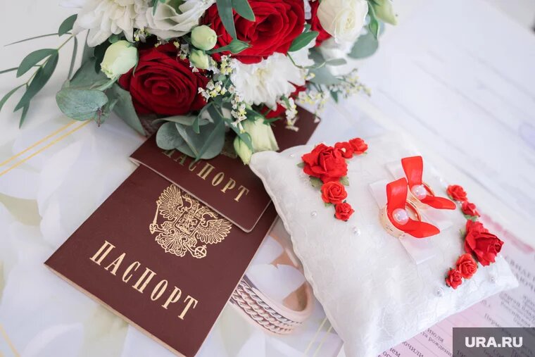 Кольцо вышло из собаки естественным путем. Фото: Руслан Яроцкий © URA.RU