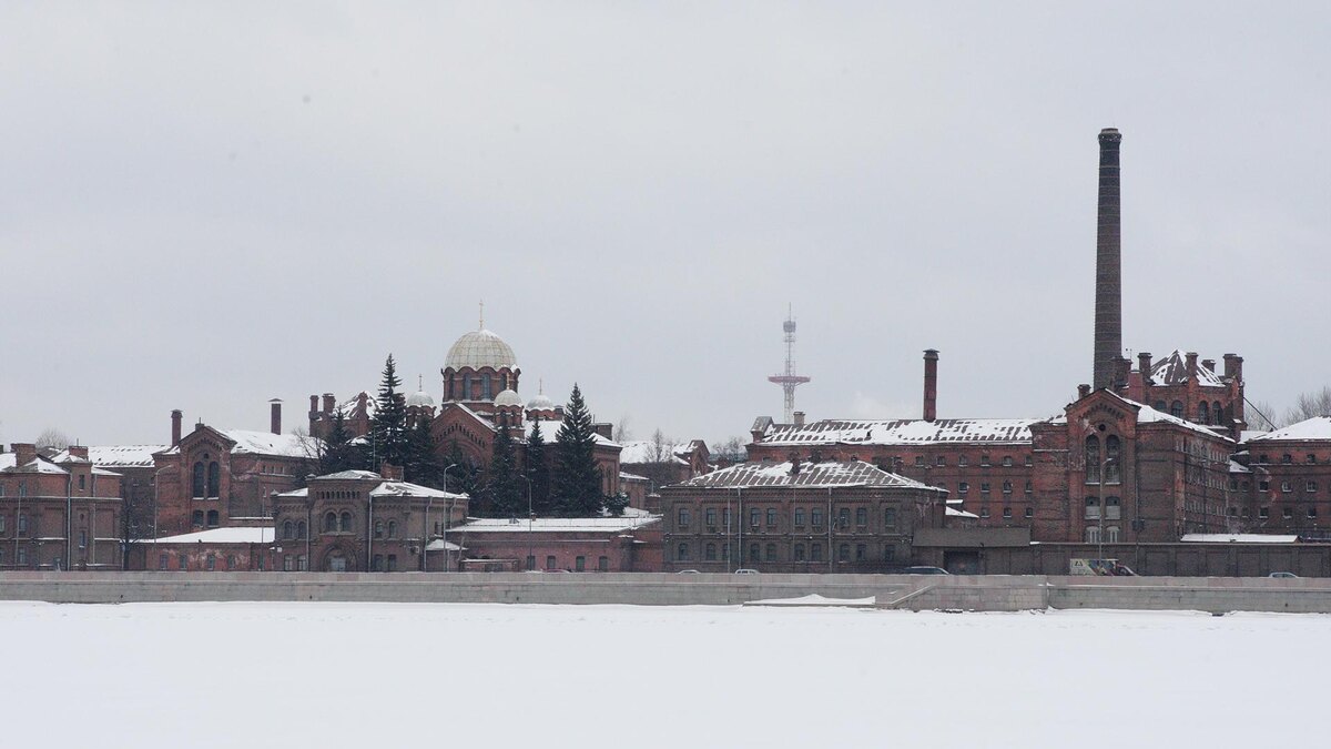    Фото: Zamir Usmanov/globallookpress.com