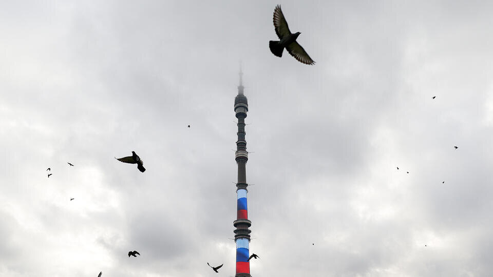 Фото: © ТАСС/Михаил Синицын