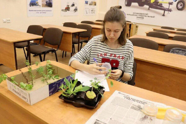    Фото: kirovreg.ru