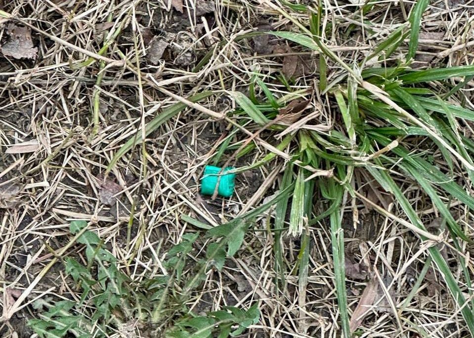 Фото: Telegram/Полиция Сочи  📷
