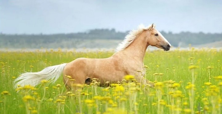 Картинка из интернета....