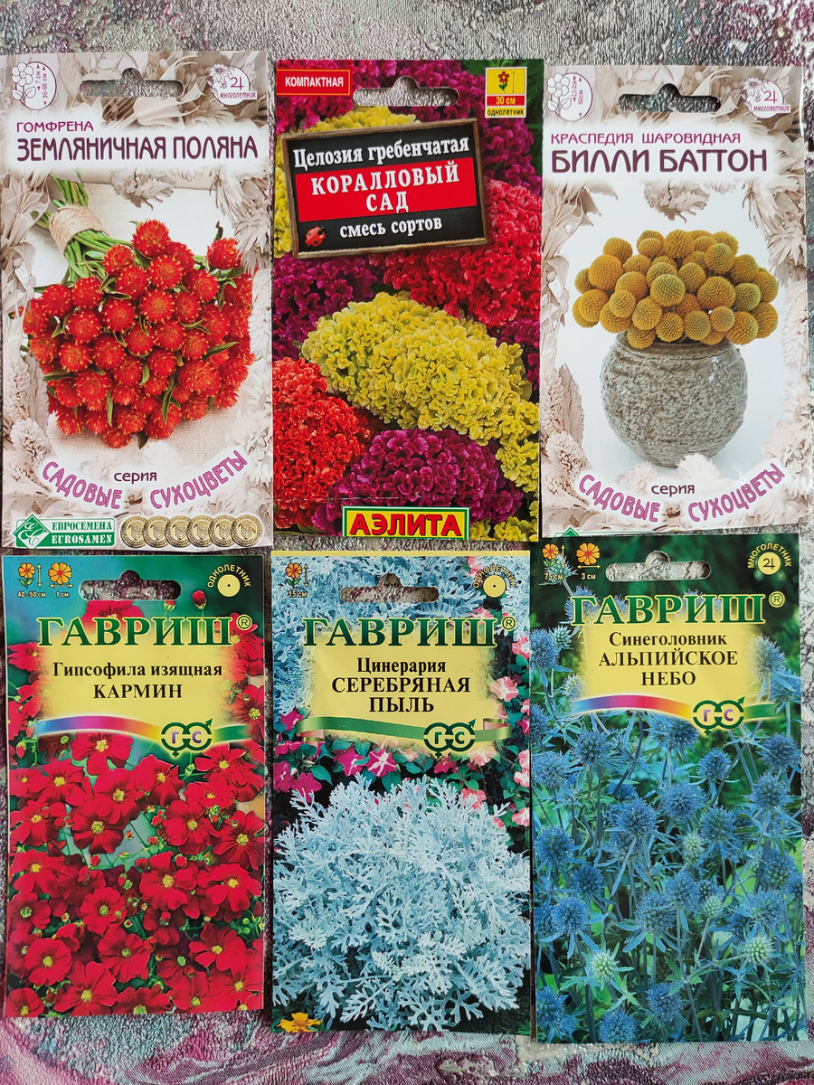 Семена схоцветов