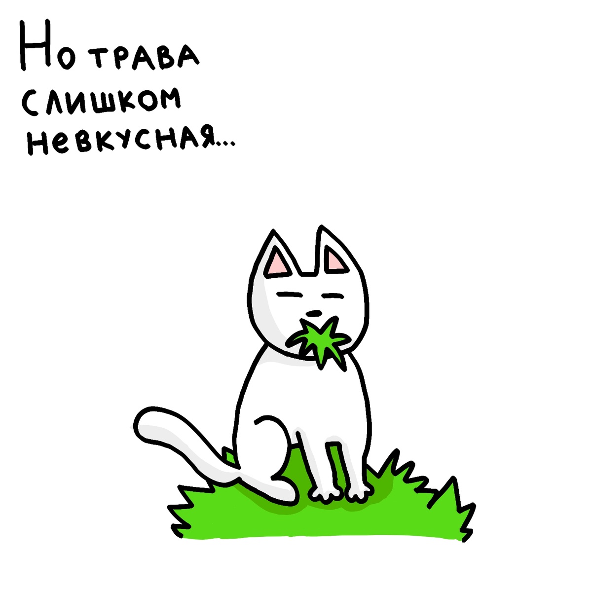 Взрослый Чебурек. Го сделаем это мемом?)