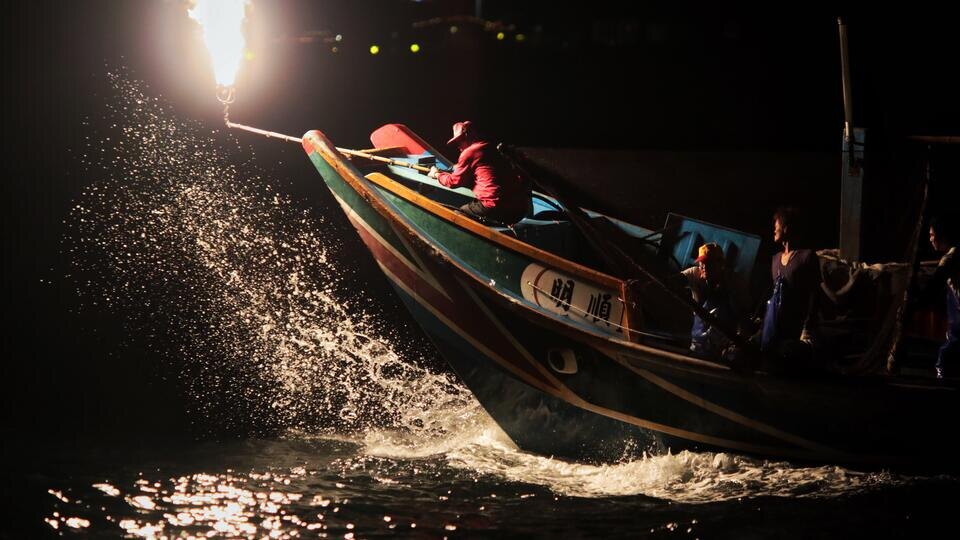 Фото: © Global Look Press/Cai Yang/Xinhua