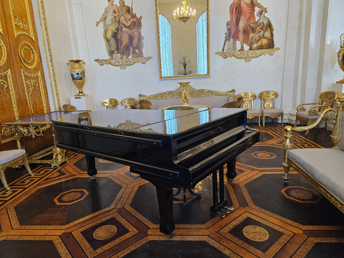 Виновник суеты.