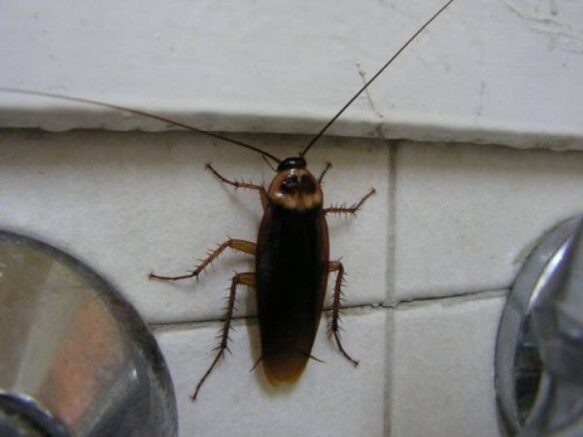    Фото: geradez.ru