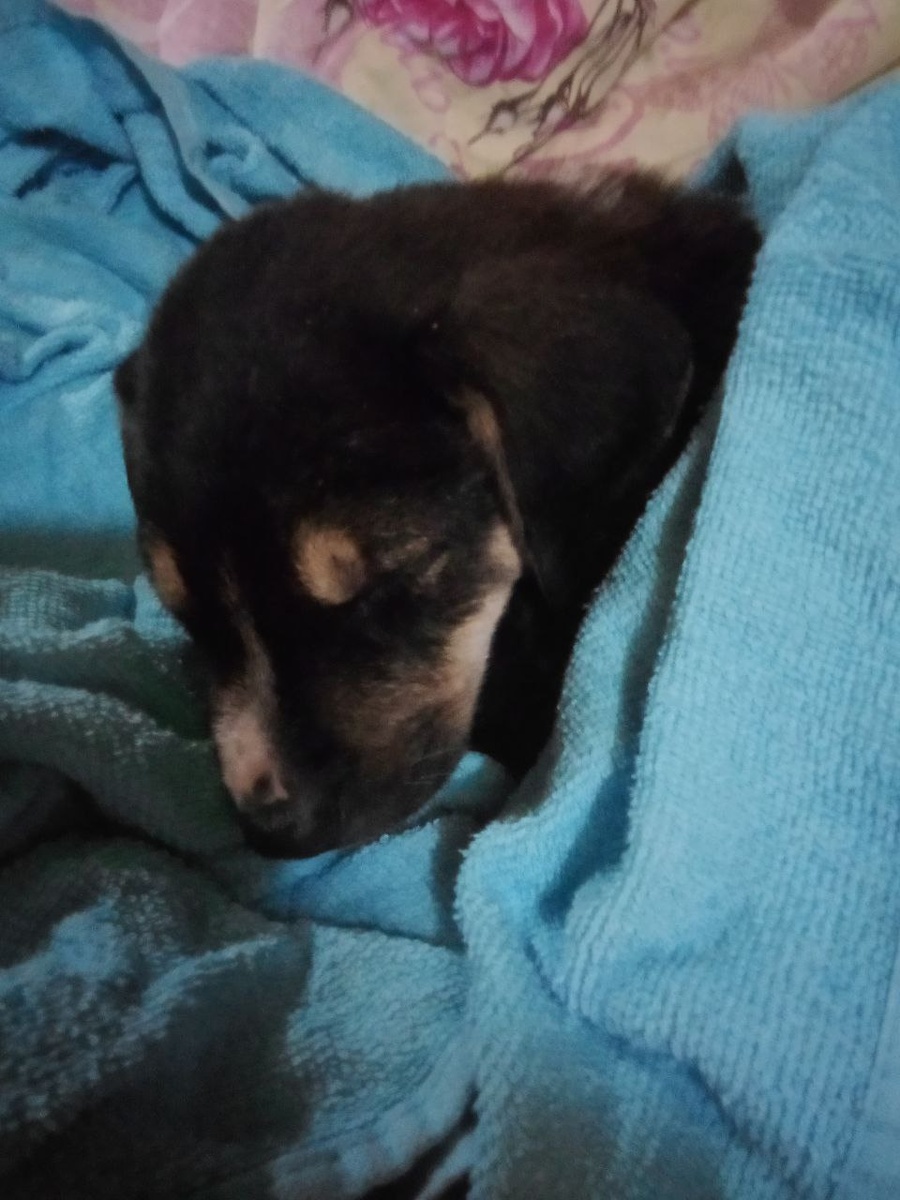 Первый раз в кровати