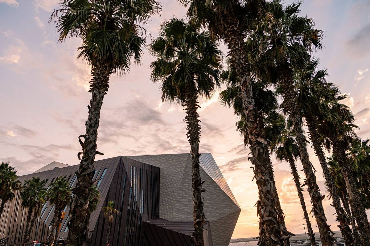 Фото: Telegram/Дмитрий Плишкин  📷
