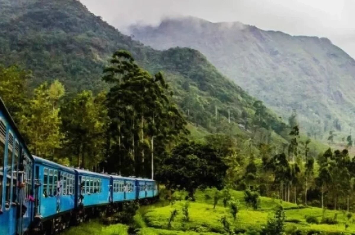    Пассажирский поезд сбил стадо слонов и сошел с рельсов на Шри-Ланке