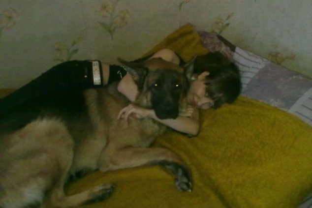 Преданный пес спас беременную хозяйку от разъяренной собаки