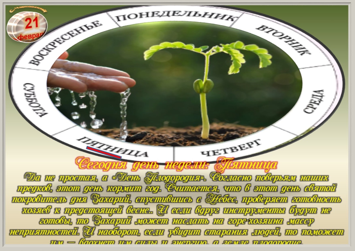 Встречаем новый день