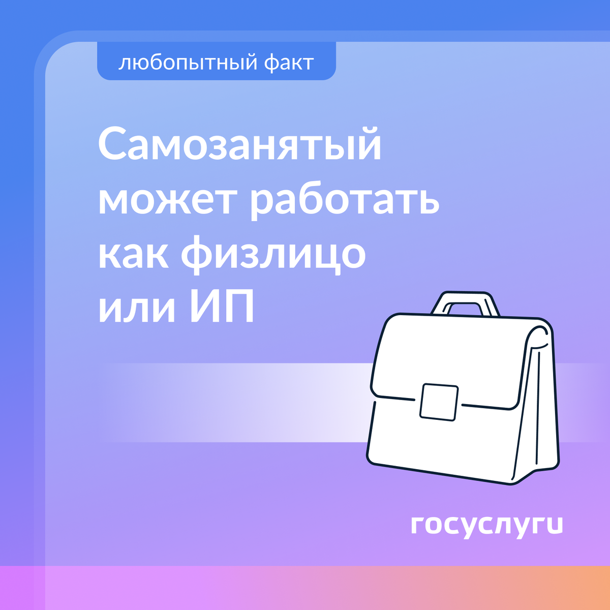 Как оформить льготный проезд в госуслугах. Как оформить льготный проезд в госуслугах