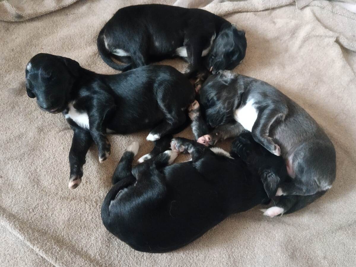 Угадайте, где наш?