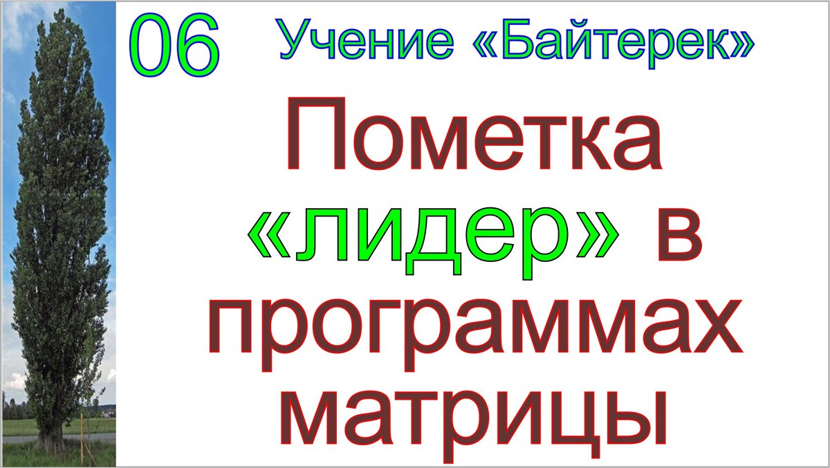 Матрица выделяет лидеров среди биороботов, кураторы матрицы помечают лидеров среди оживащих тахионов.
