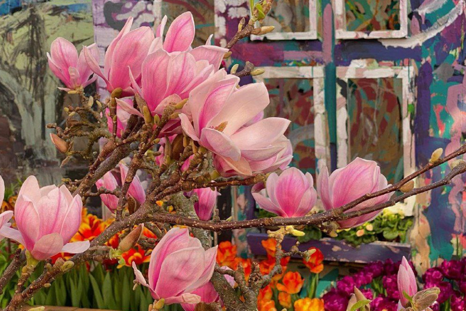 Выставка «Репетиция весны». Фото: предоставлено организаторами для kp.ru