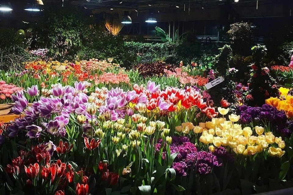 Выставка «Репетиция весны». Фото: предоставлено организаторами для kp.ru