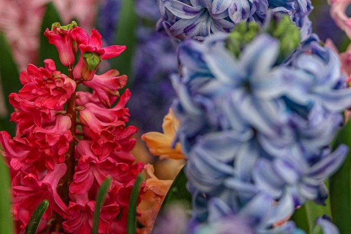 Выставка «Репетиция весны». Фото: предоставлено организаторами для kp.ru