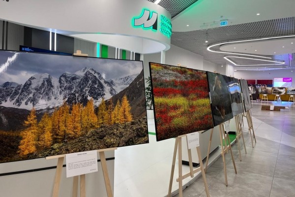 Фестиваль "Первозданная Россия". Изображение с сайта организатора