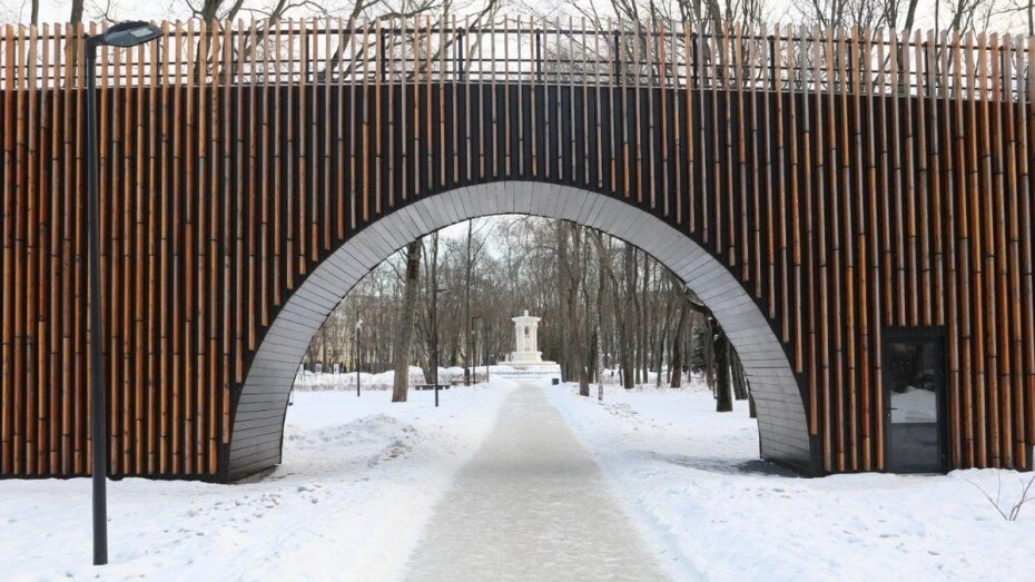 Каток на адмиралтейской площади воронеж фото Главный городской каток Воронежа в этом году установят на Адмиралтейской площади