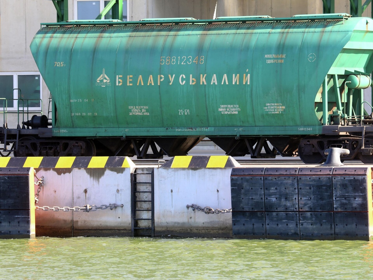 Фото: AFP 2024 / PETRAS MALUKAS