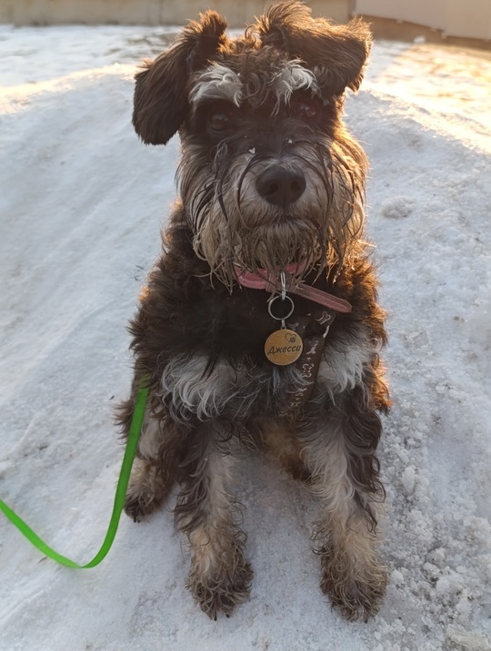 На последнем кусочке зимы 