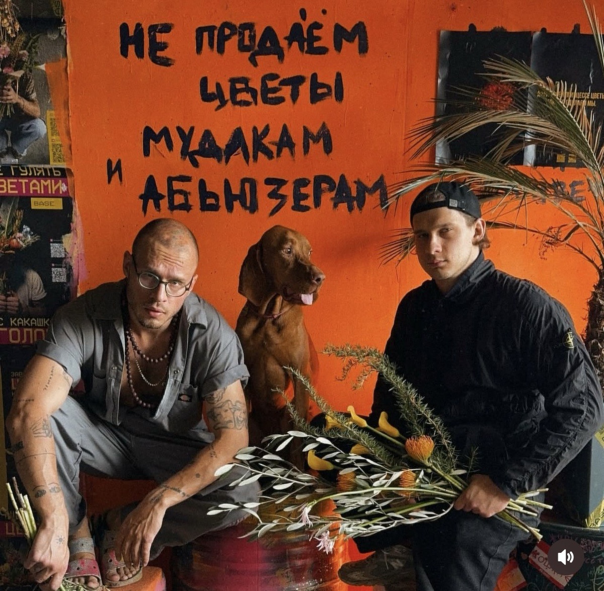 А вот и те самые красавчики)) BASE Братва