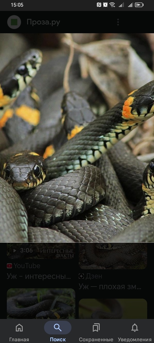 Фото из интернета