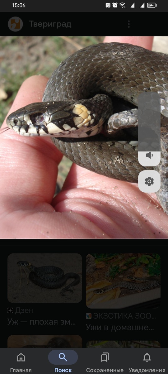 Фото из интернета