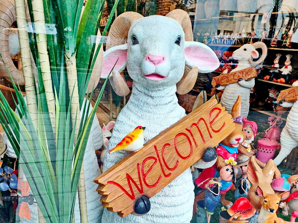 Одна из витрин Акабы))