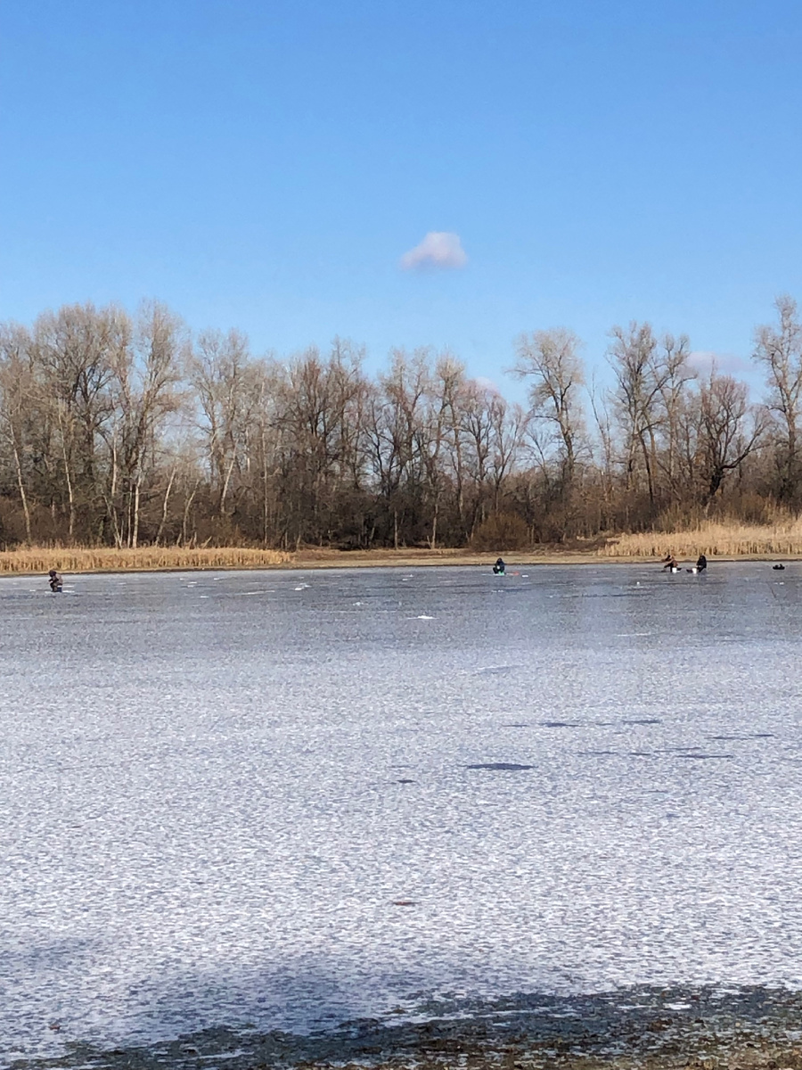 Озеро Ильмень сегодня
