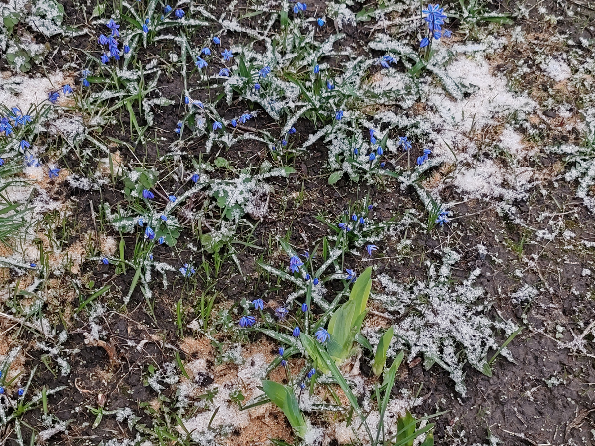 Фото автора канала.