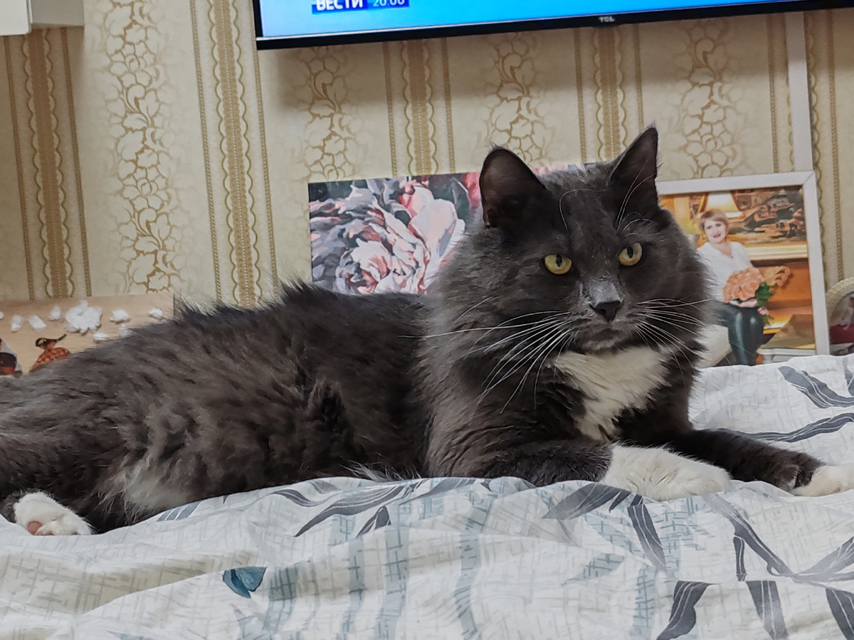 Фото автора канала. 