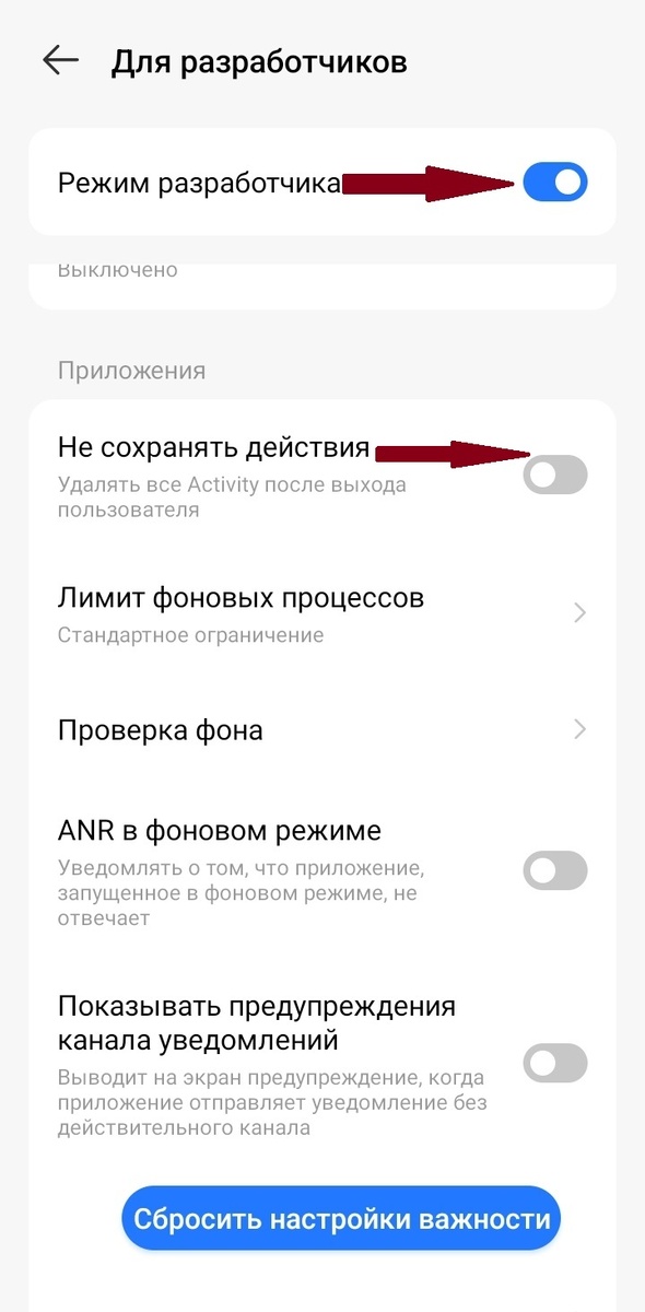 Режим разработчика