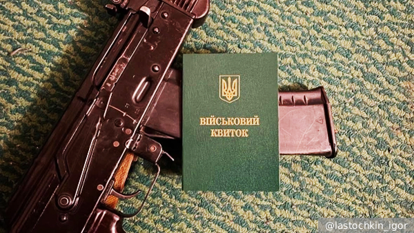     Фото: @lastochkin_igor   
 Текст: Валерия Городецкая