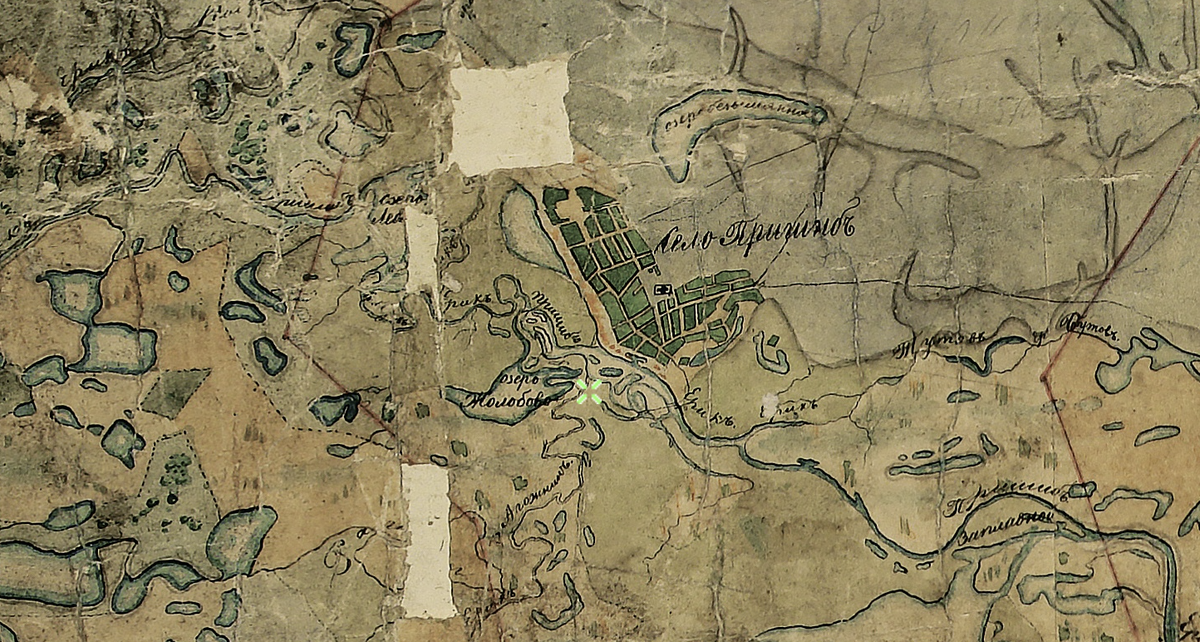 План генерального межевания луговой части Царицынского уезда, фрагмент