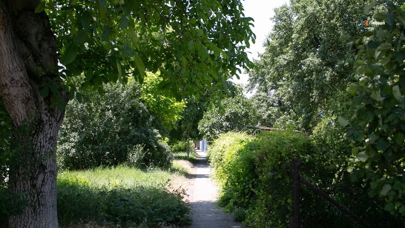      Фото: ИА «Победа26»