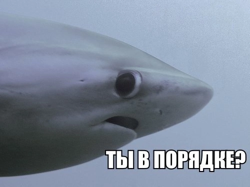 Картинка для иллюстрации из интернета 