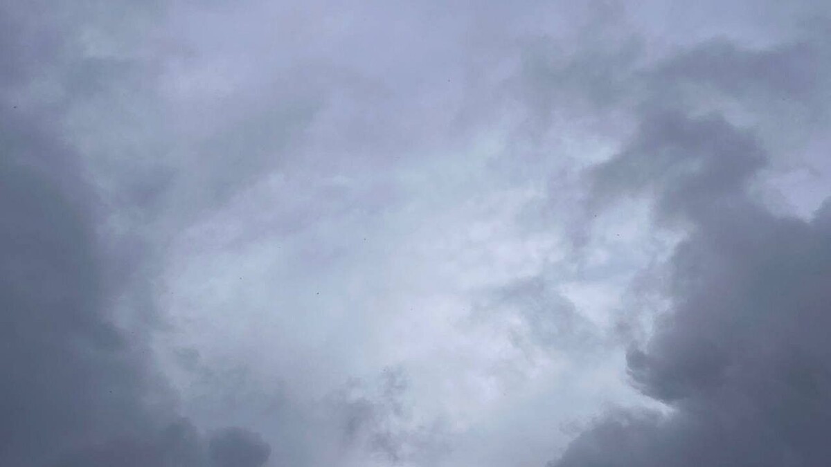    Фото: телеканал «Краснодар»