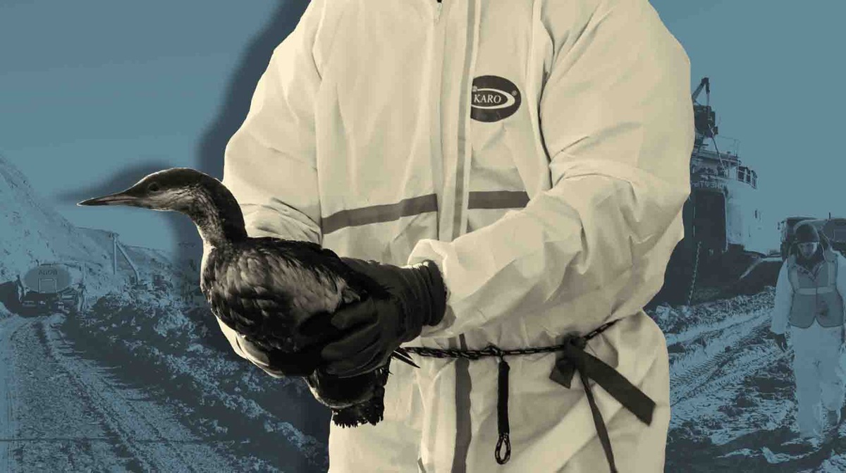    Коллаж: Daily Storm