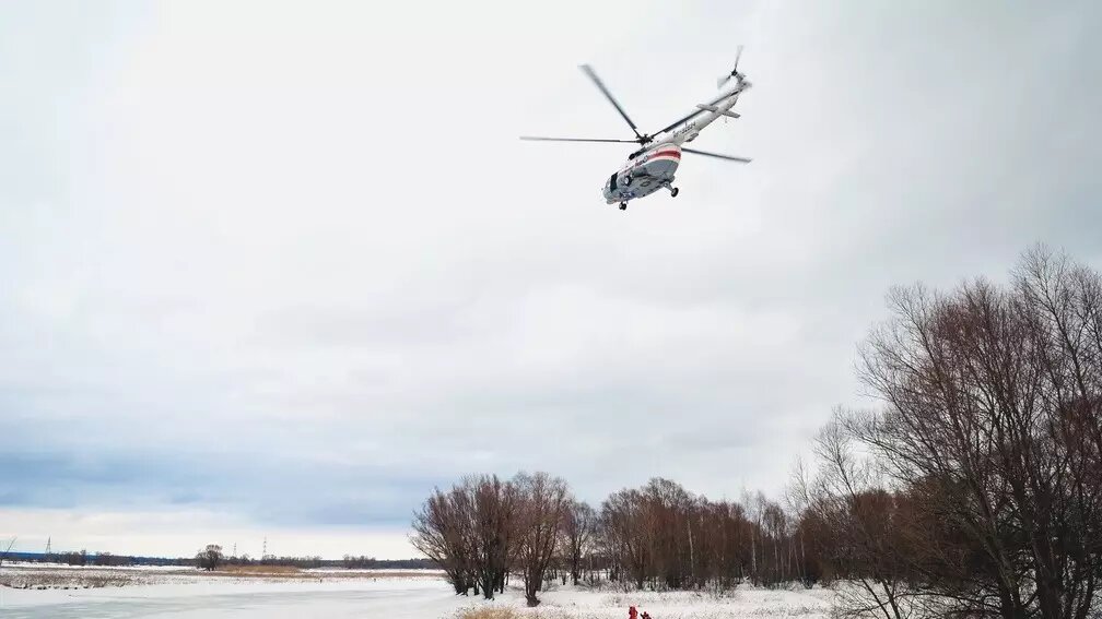     Источник: 1MI