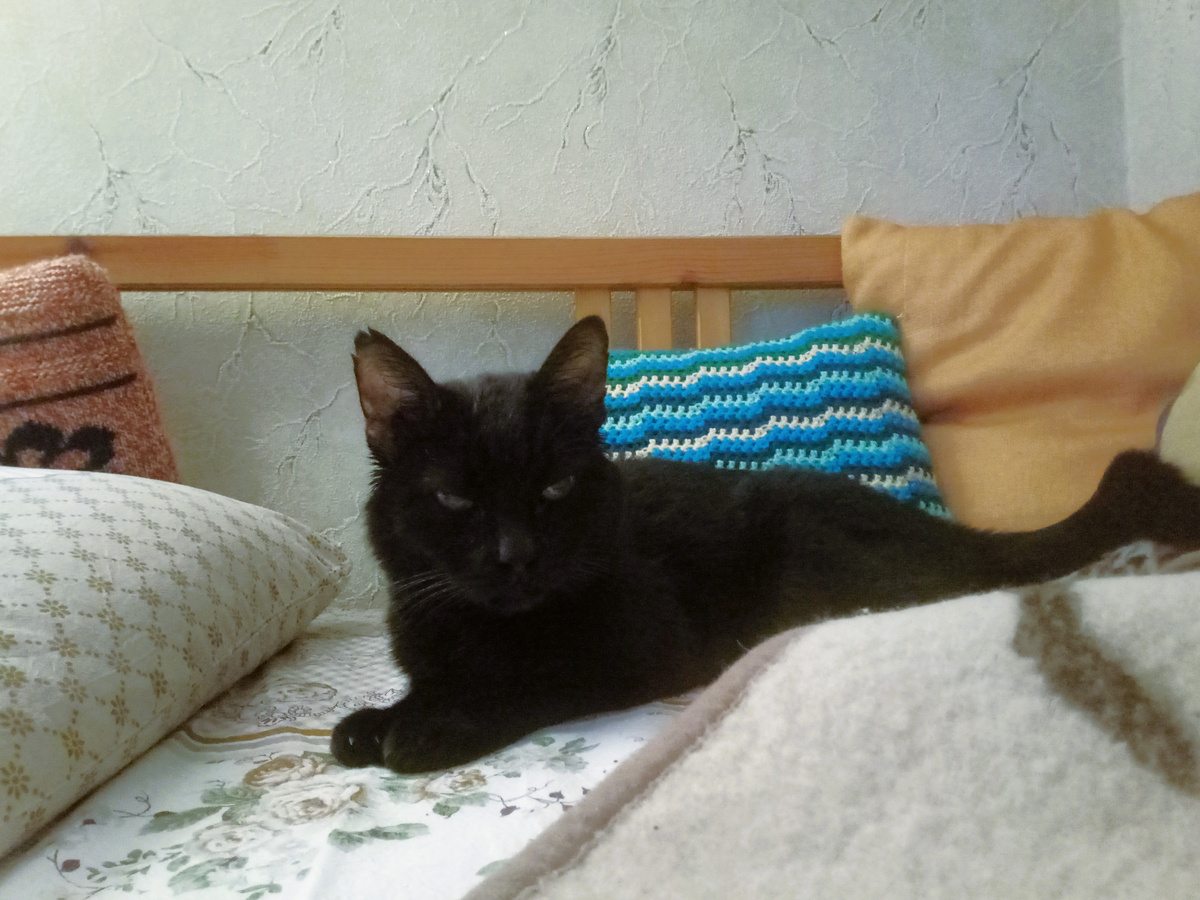 Очень грустный в разгар болезни